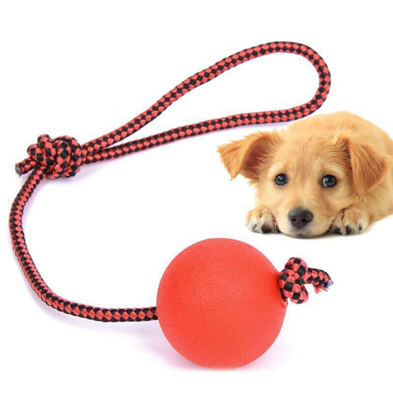 Indestructible Dog Ball on a Rope for Pet Puppy Toys Tug Balls Pet Chew Toys Z