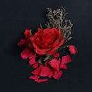 Romantic Red Rose Glass Wooden Base Ornaments Festival Decor Birthday Gifts A