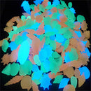 10PCS Glow in the Dark Luminous Stone Conch Shells Aquarium Fish Tank Decor MO