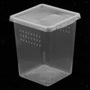 Clear Plastic Reptile Insect Spider Habitat Feeding Box Container 8x8x11cm