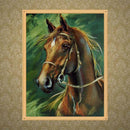Horse 5D DIY Round Full Drill Diamond Painting Embroidery Kits Cross Stitch