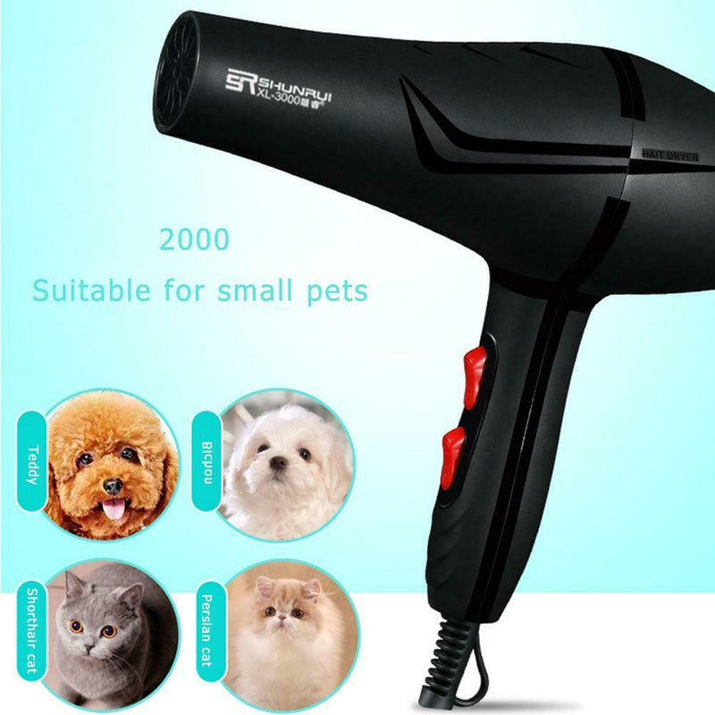 800W 3 Heat Setting 2 Speeds Anion Pet Hairdryer Cold Hot Air Hair Dryer Dry