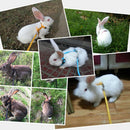 Adjustable Soft Rabbits Harness With Leash For Samll Animal Random