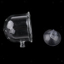 5Pcs Aquarium Fish Tank Feeding Glass Cup Aquatic Plant Crystal Holder Feeder