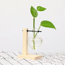 Glass Bub Vase Flower Plant Pot Terrarium Container for Home Party Wedding Decor