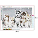 Animal Portraits 5D Full Drill DIY Diamond Painting Embroidery Kit (T174)