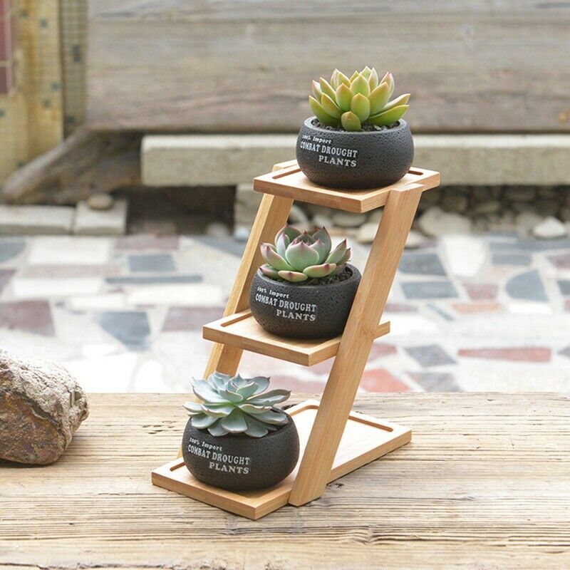 1 Set Cement Succulent Planter Pot Geometric Flower Pot 3 Bonsai Cactus Pla M7U3