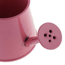 Nordic Style Watering Can Flower Barrel Mini Plant Irrigation Tool Pink