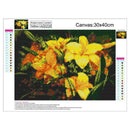 Lily DIY Full Drill Round Diamond Painting Embroidery Kit Cross Stitch Set