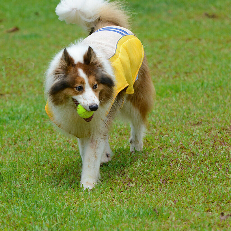 Pet Dog Puppy Cooling Vest Pet Evaporative Jacket for Pet Dog Cat Yellow-XS