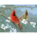 5D DIY Full Round Drill Diamond Painting Bird Cross Stitch for Gift (B1019) A