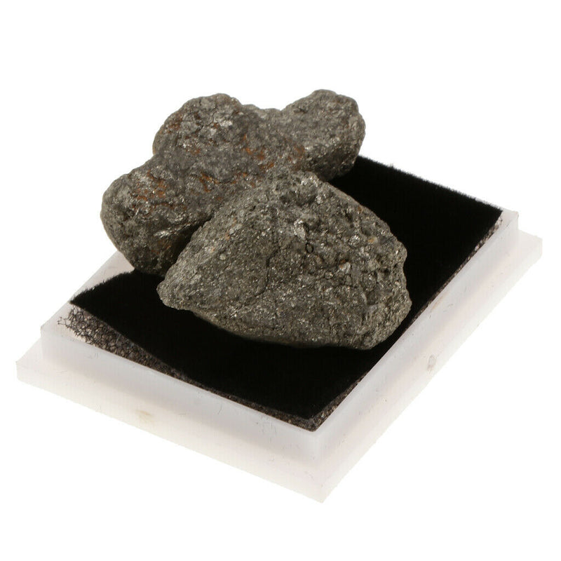 Kids Science Kit Rock And Mineral Collection in Clear Box - Pyrite