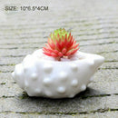 6pcs/set Mini White Small Flowerpot shell Shape Ceramic Succulent Plant Pot