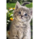 5D DIY Full Drill Diamond Painting Kitten Cross Stitch Embroidery Mosaic