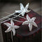 6pcs Girl Starfish Braid  Hairpin Headdress Wedding Party Hair Accessories ly