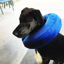 Inflatable Cat Dog Collar Pet E-Collar Alternative to Elizabethan Collar  M