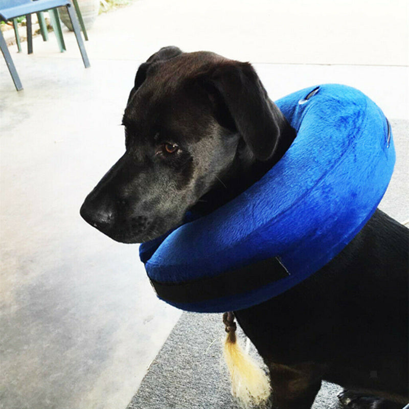 Inflatable Cat Dog Collar Pet E-Collar Alternative to Elizabethan Collar  M
