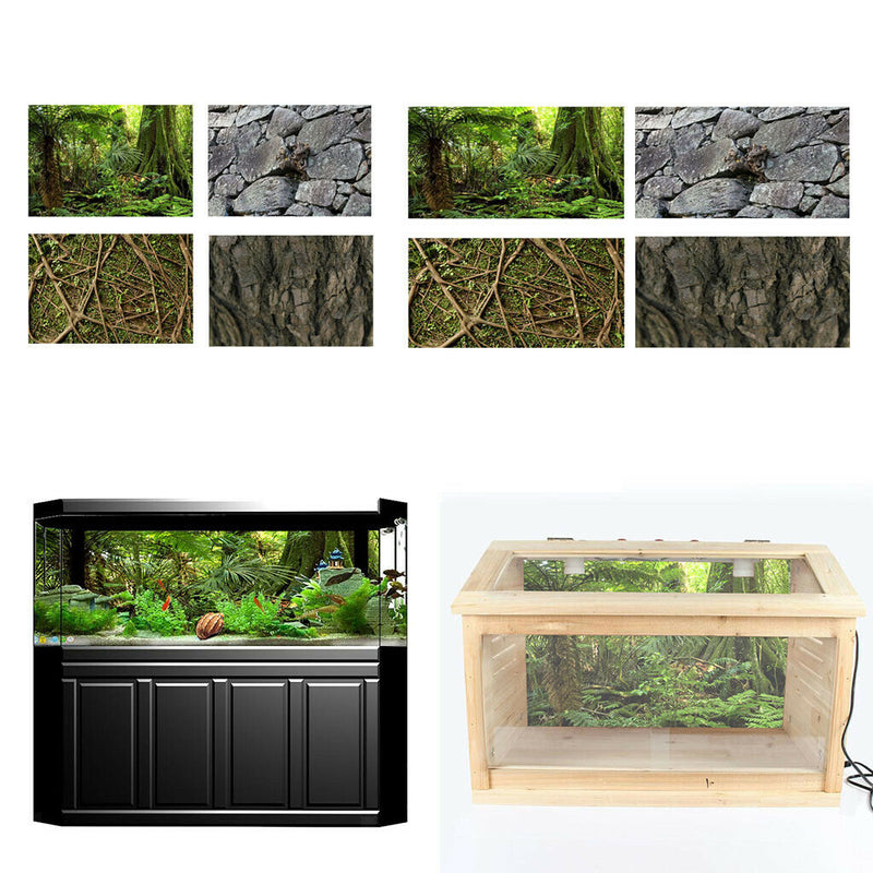 Aquarium   Tank Background Poster Rainforest Landscape Decor 60x100cm