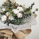 50pcs Stars Translucent Tissue Paper Flower Wrapping Paper Gift Packaging P
