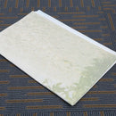 5x3FT Seaside Beach Palm Vinyl Studio Photography Backdrop Photo