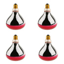 4Pcs 250W 220V E27 Basking Heat Lamp Bulb for Reptiles Goose Poultry Pig