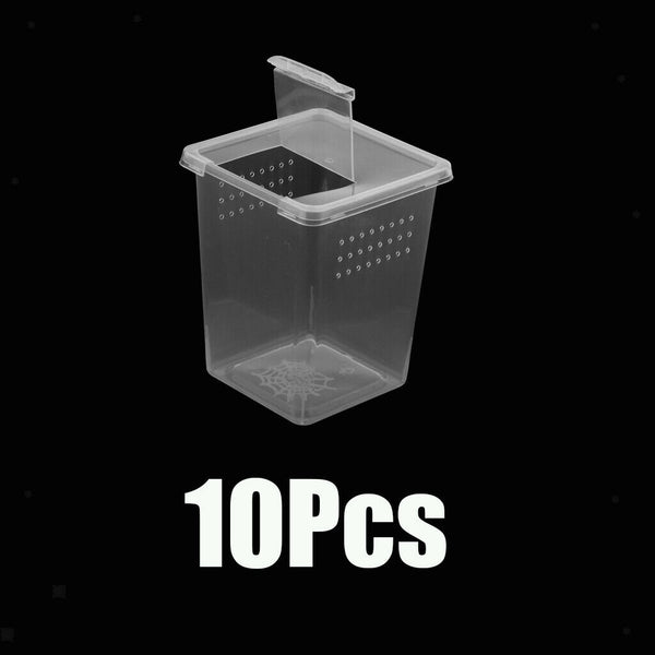 10x Clear Plastic Insect Lizard Habitat Feeding Box Container 3x3x4 inch