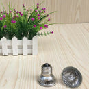 2x Pet Baby Bird Breeding Heating Bulb Heat Lamp Reptiles Daylight Lamp 25W