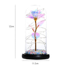 20LED Foam Night Lamp Foil Rose Glass Dome Copper Wire Fairy String Lights A