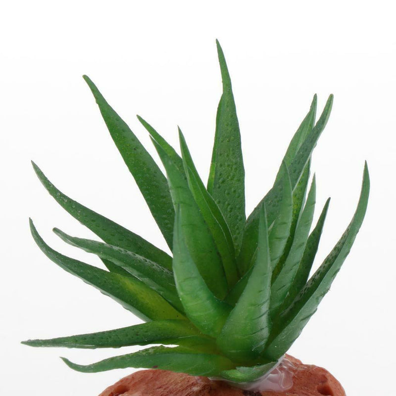 2Pieces Aquarium Fish Tank Landscaping