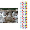 100Pcs Poultry Chick Chicken Duck Automated Management Chip Leg Foot Ring