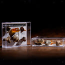 Rock and Mineral Collection in Specimens (6 Pieces)