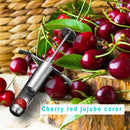 Cherry Jujube Corer Pitter Stainless Steel Fruits Core Remover Kitchen Gadgets