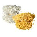2800 x Artificial Flower Stamens Double Buds for Hair Accessories DIY 6 cm