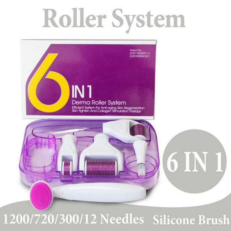 6 in 1 Derma Roller Titanium Needle Skin Care Kit Micro Needle for Face and Body