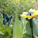 1x Dancing Solar / Battery Sunflower with butterfly on garden tufts Garden