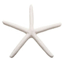 12pcs 10-12cm Beautiful White Finger Starfish Beach Wedding House Crafts De