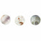 50x Guitar Accessories 6mm Multicolor Abalone Inlay Material Dots Guitar Pa