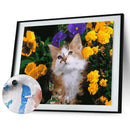DIY Digital Painting By Numbers Cat Flower Canvas Picture Modern Wall Art