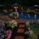 3x LED Butterfly Solar Lights 7 Color-Changing Waterproof Garden Yard Lamp