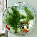 Wall Mounted Fish Tank Bubble Hanging Terrarium New Betta Aquari Goldf O3C8