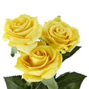 10 pcs Latex Real Touch Rose Decor Rose Artificial Flowers Silk Flowers Flo M7V3