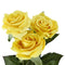 10 pcs Latex Real Touch Rose Decor Rose Artificial Flowers Silk Flowers Flo M7V3
