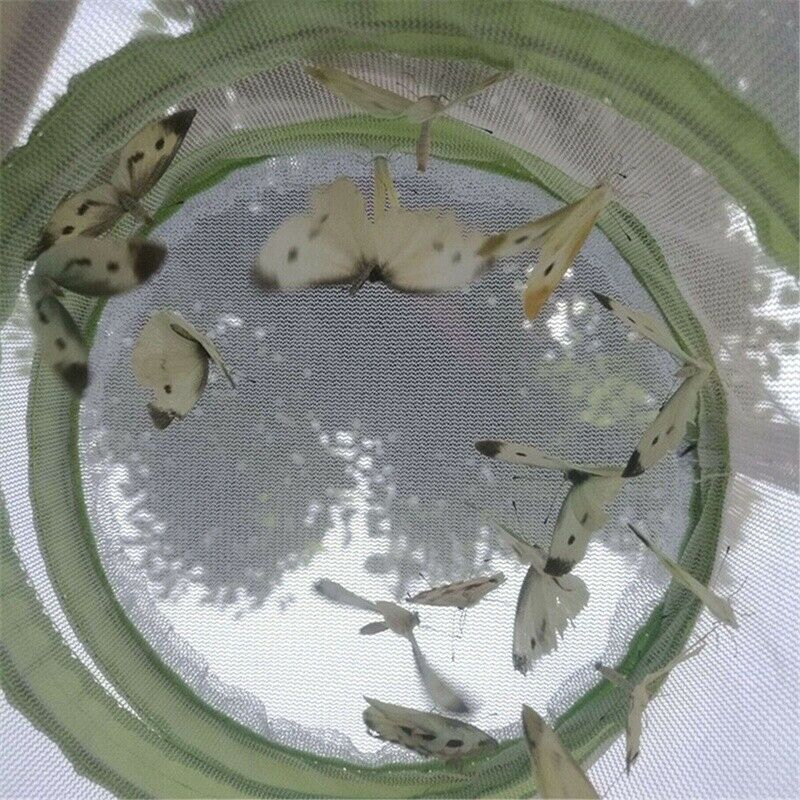 Large Butterfly Cage Insects And Habitat Cage Pvc Pet Mosquito Net Plant Cu