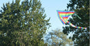 1m Rainbow Delta Kite outdoor sports for kids Toys easy to flylj