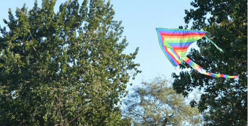 1m Rainbow Delta Kite outdoor sports for kids Toys easy to flylj