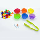 Children Counting Bears Kit Matching Game Developmental