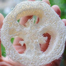 4-6Cm Wide 50Pcs/Lot Natural Loofah Slice Diy Customize Soap Tools,Cleaner,