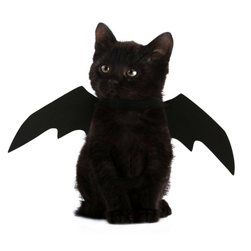 Animal Pet Dog Cat Bat Vampire Halloween Black Fancy Dress Costume Outfit Wings