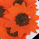 6pcs Pressed Dried Real Flower Sunflower Scrapbooking Embellishments Orange
