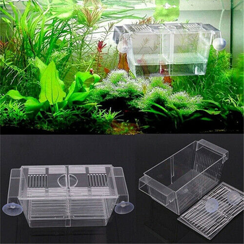 Aquarium Fish Tank Guppy Double Breeding Breeder Rearing Trap Box Hatchery Delux